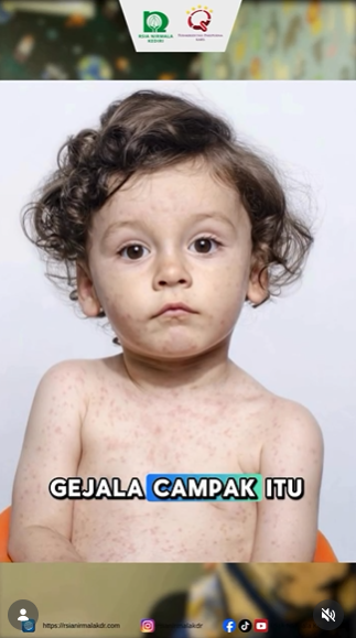 berita